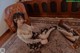 A woman sitting on the floor in front of a mirror.